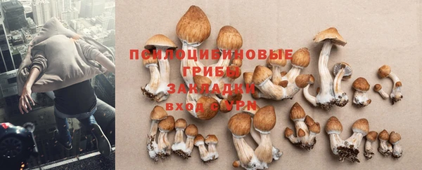 винт Кулебаки
