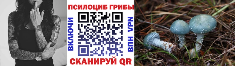 Купить  Чадан  Псилоцибиновые грибы ЛСД 
